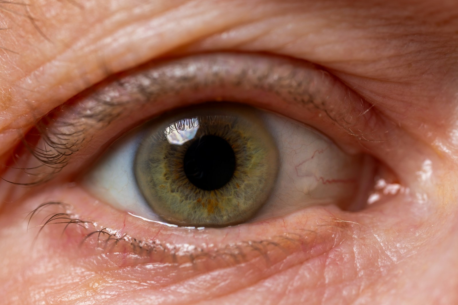 A close up of a person's brown eye